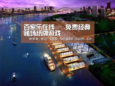案例展示八