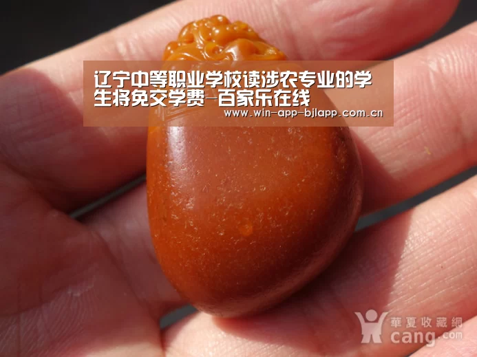 澳门百家乐