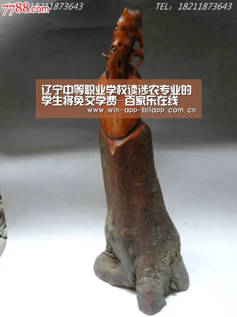 百家乐在线